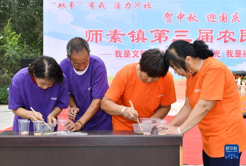 龙宝是什么意思